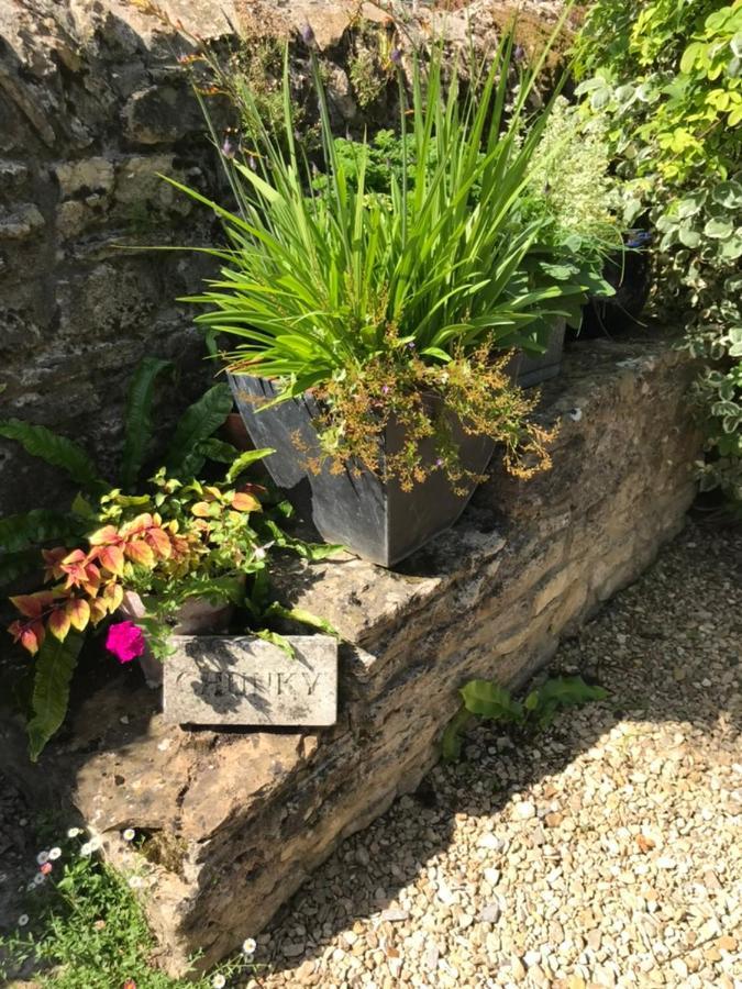 Norburton Hall Cottages Bridport Extérieur photo